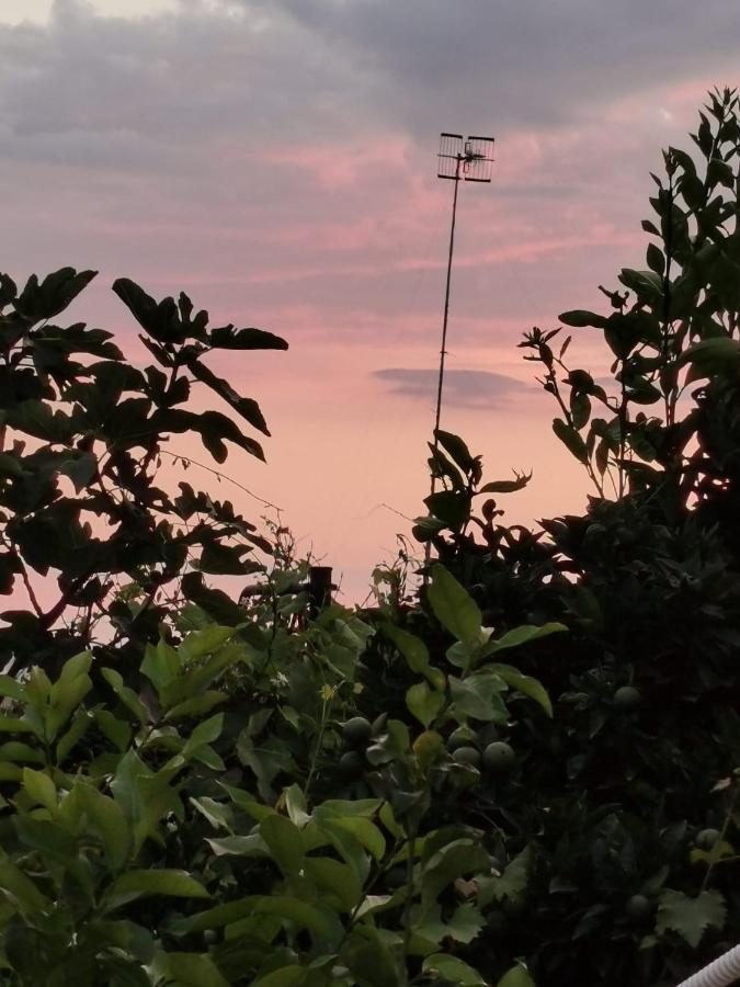 Dimora Di Donna Rita Hotell Anacapri  Eksteriør bilde